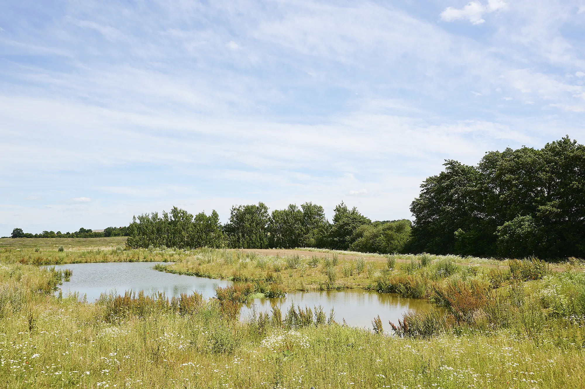 naturen_vonsildbakke naturen_vonsildbakke